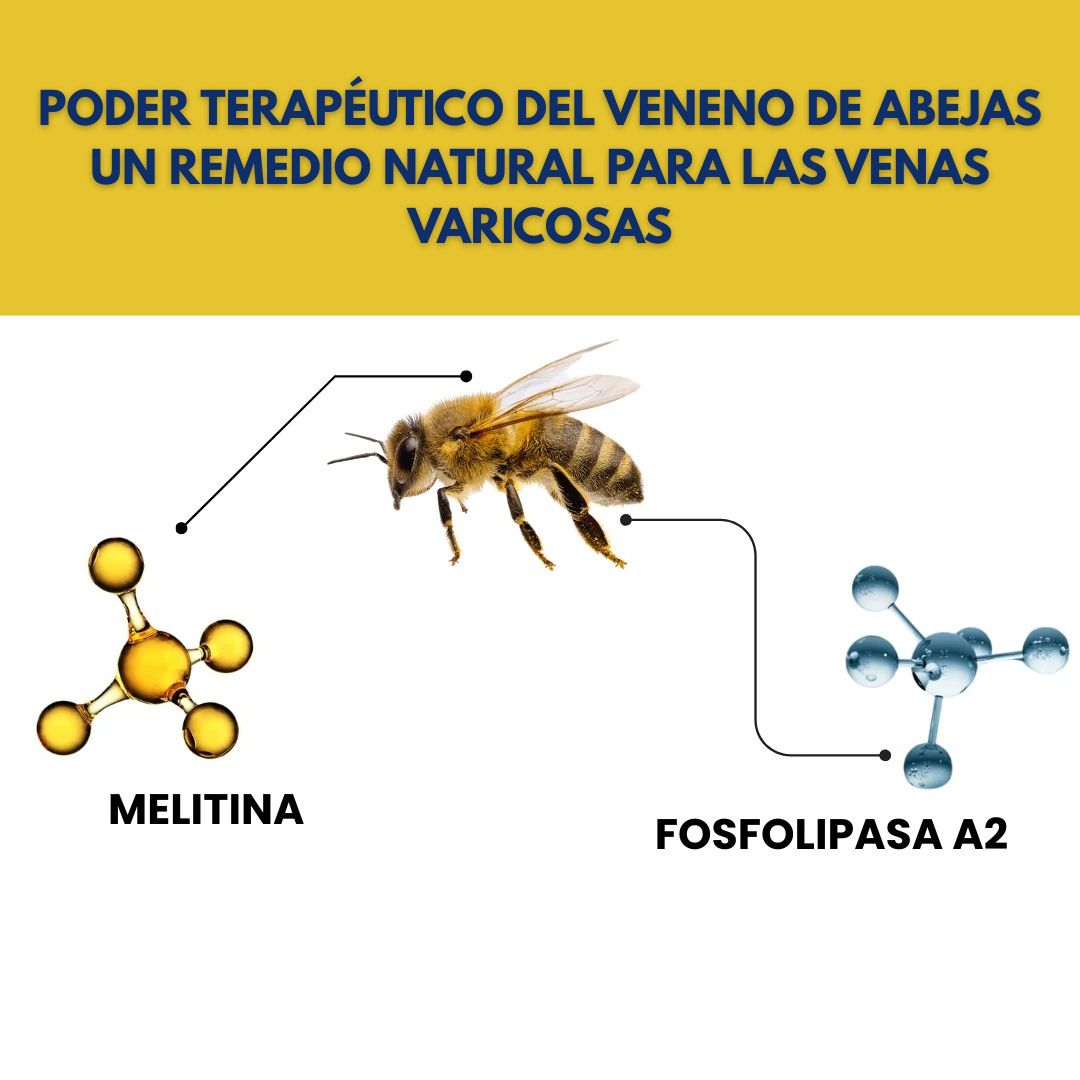 Encabezado