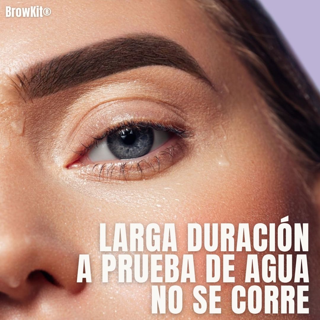 Encabezado